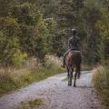 Horse riding 01